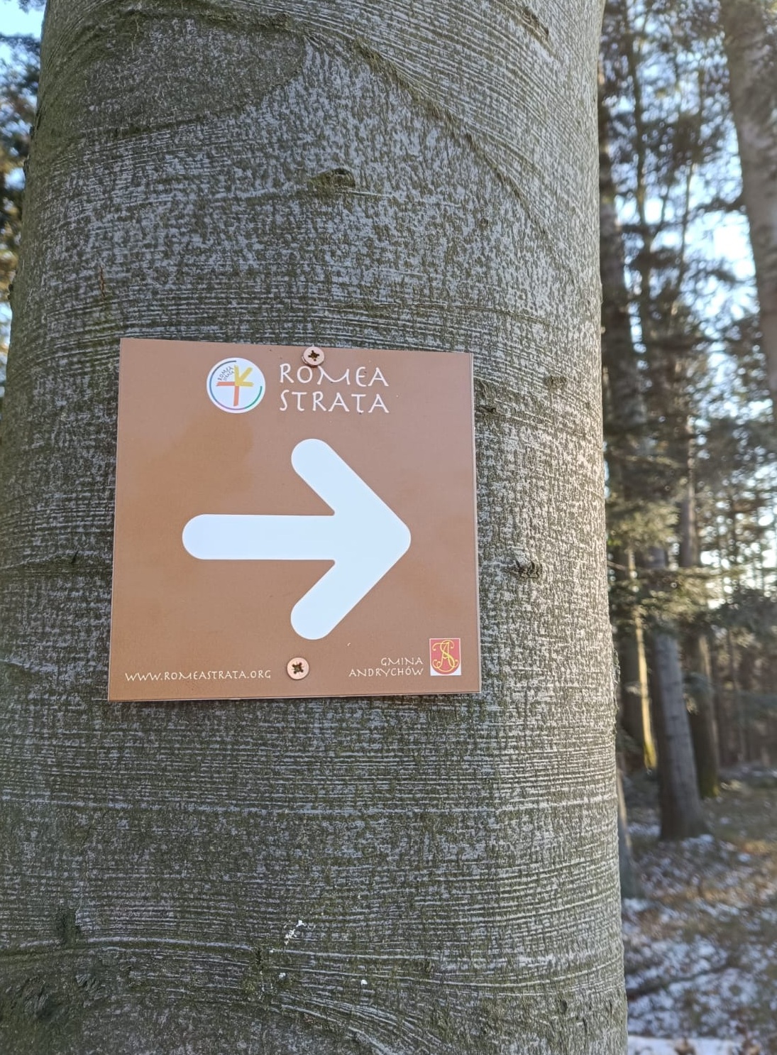 Romea Strata zdjęcie