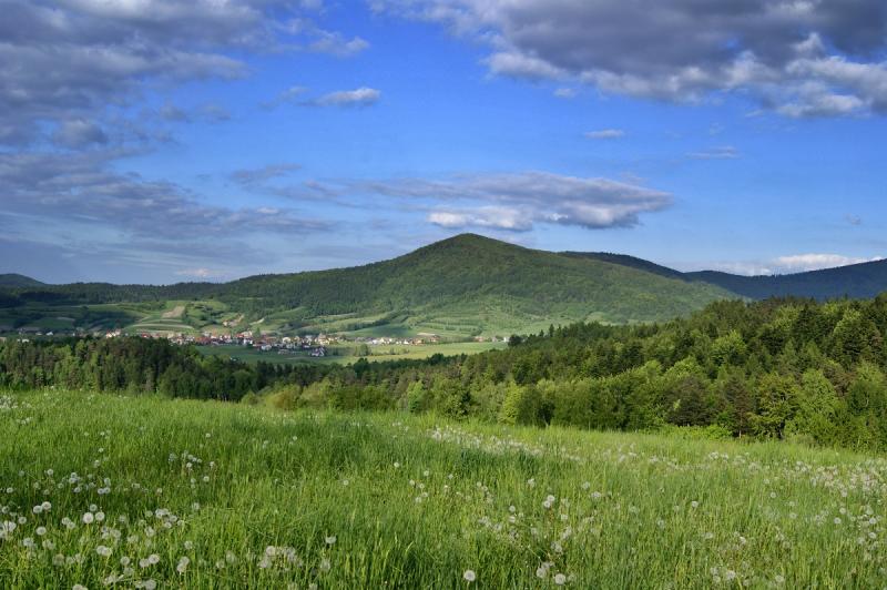 Panorama górska z widokiem zabudowań w dolinie